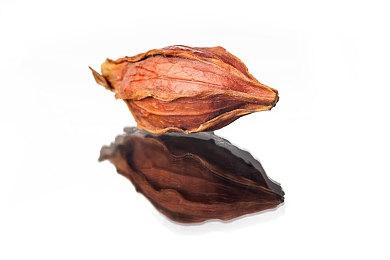 《不羁联盟》即将迎来1.2版本更新 未来或添加自选服务器